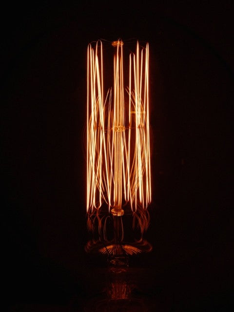 Vintage Bulb-Dimwit Light Bulb No.5 - Timeless Design