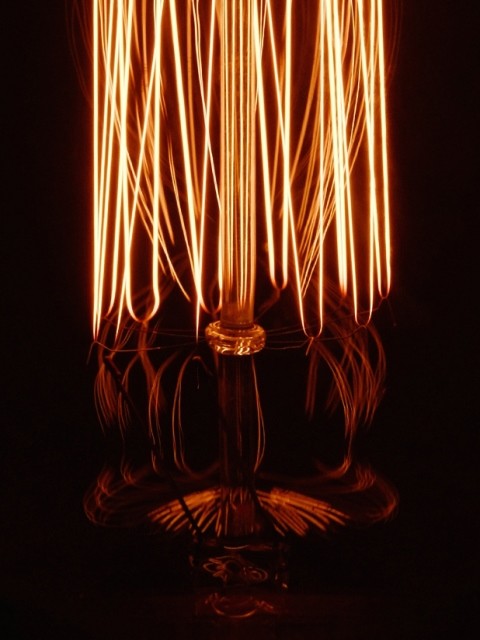 Vintage Bulb-Dimwit Light Bulb No.5 - Timeless Design