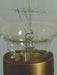 Vintage Bulb-Dimwit Light Bulb No.5 - Timeless Design